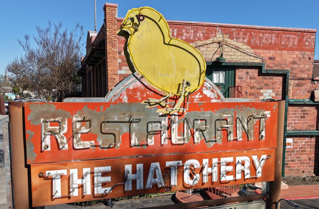 Color photo showing the south side of the neon chick sign at the former Poehlman Hatchery taken by Robert Caruso