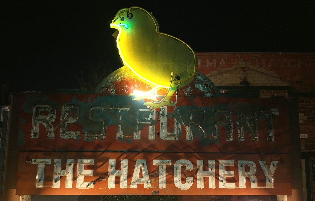 Photo showing the south side of the neon chick sign taken at night on October 29, 2025, by Bob Caruso. The words "restaurant" and "the hatchery" are visible.