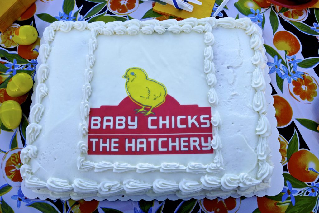 Photo of a white cake with white frosting decorated with an image of the Baby Chicks sign on it.
